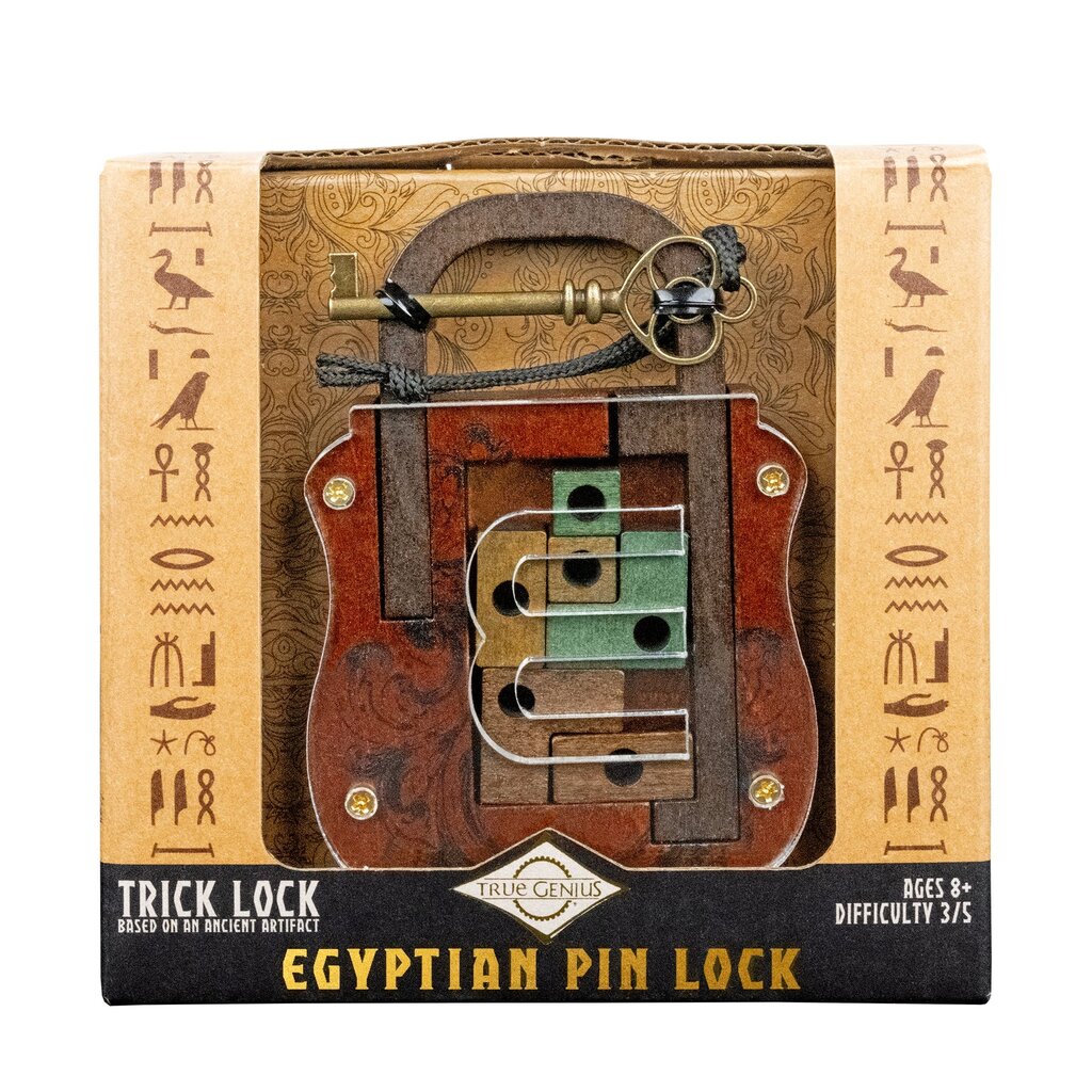 PROJECT GENIUS (RECENT TOY) Lock & Key Puzzle Assortment