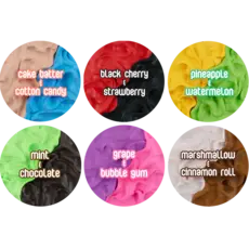 SCENTCO INC Geladough Gourmet Scented Fidget Dough Assortment