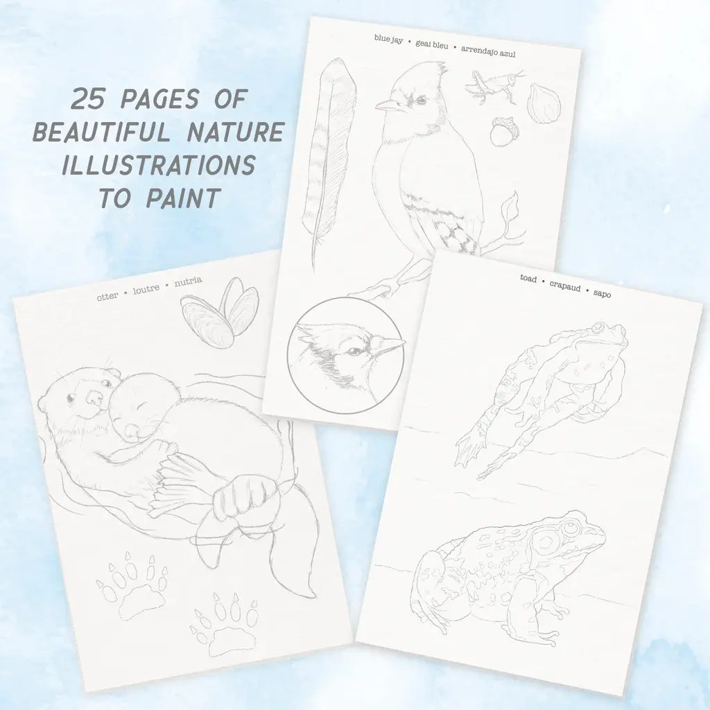 BRIGHT STRIPES WaterColor Journal Fauna