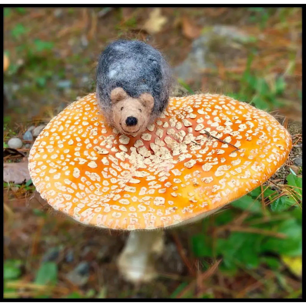 WOOLPETS Hedgehog - Easy