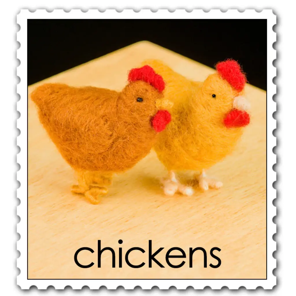 WOOLPETS Chickens - Intermediate