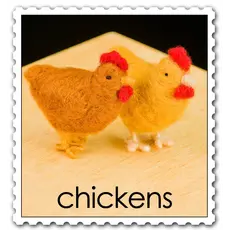 WOOLPETS Chickens - Intermediate