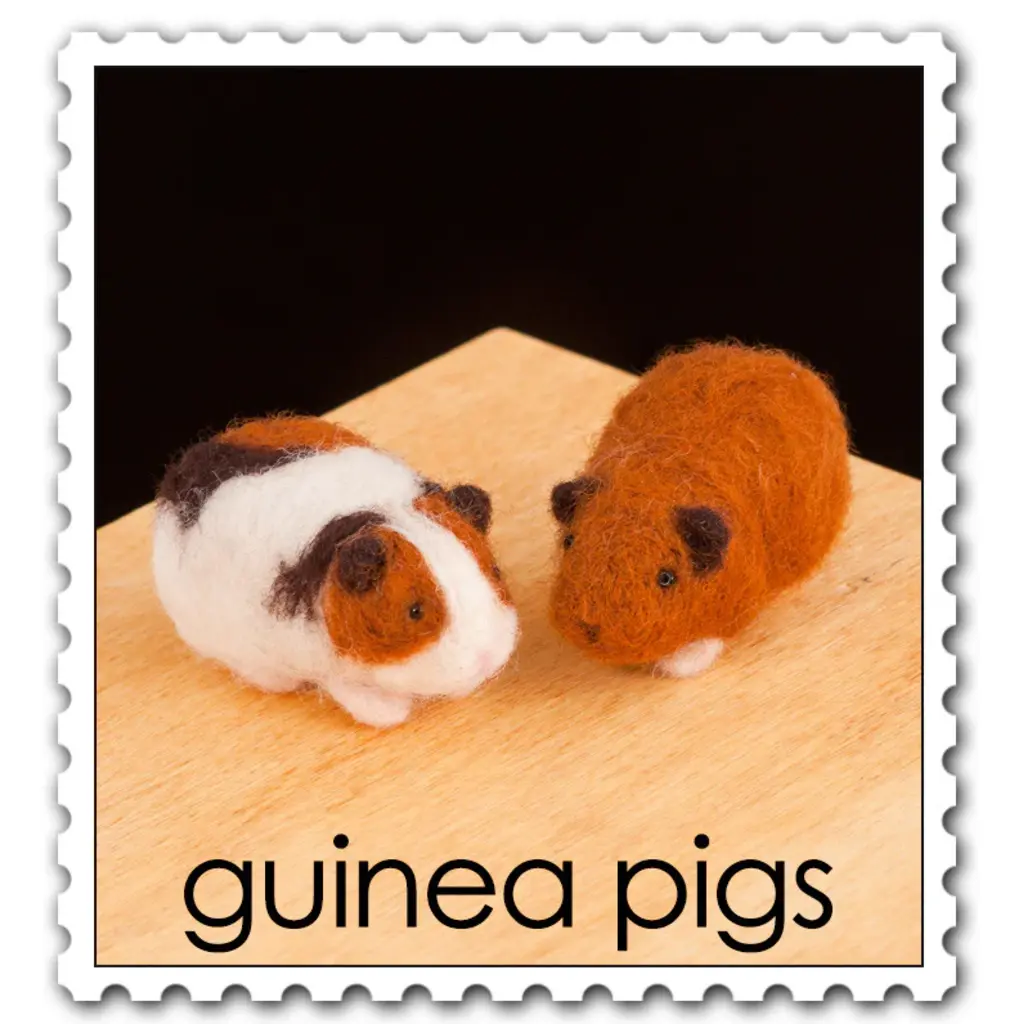 WOOLPETS Guinea Pigs - Easy