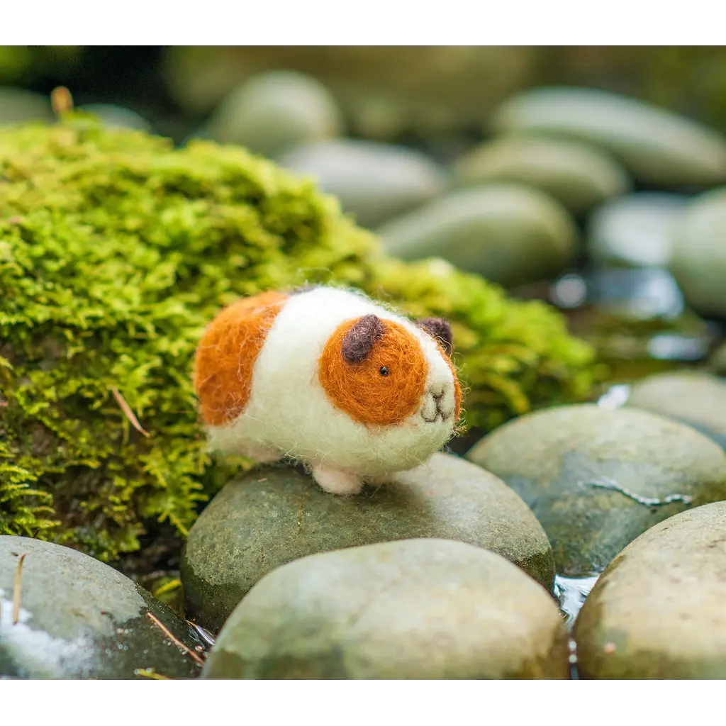 WOOLPETS Guinea Pigs - Easy