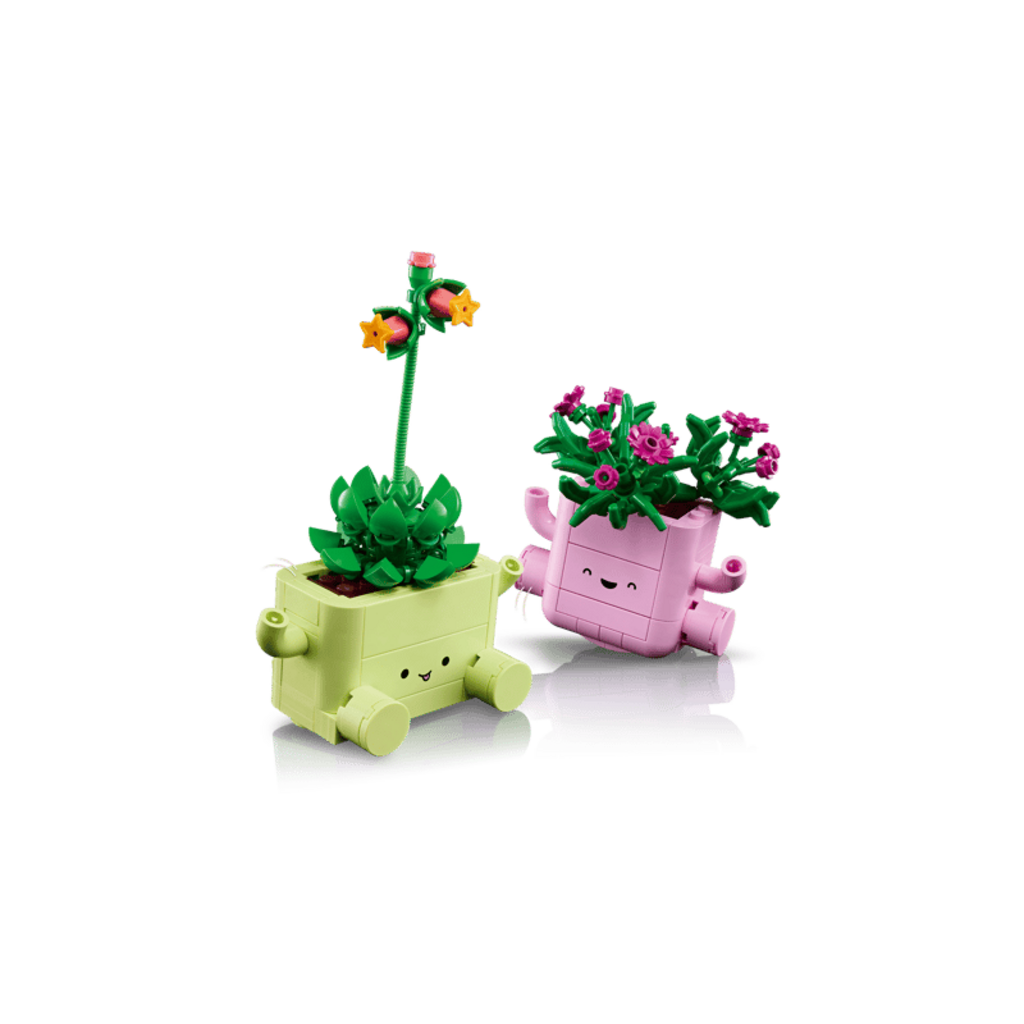 TOYHOUSE BOTANICALS Rocking Plants
