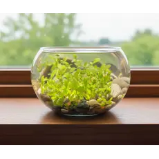 SILVER CIRCLE PRODUCTS Mini WaterPlants