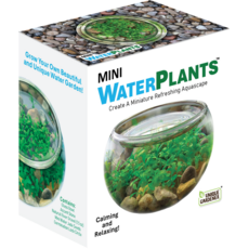SILVER CIRCLE PRODUCTS Mini WaterPlants