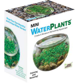 SILVER CIRCLE PRODUCTS Mini WaterPlants