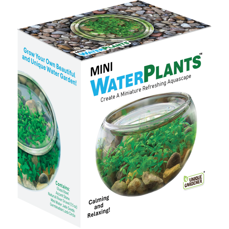 SILVER CIRCLE PRODUCTS Mini WaterPlants
