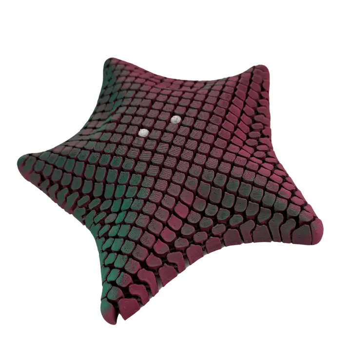 Floppy Starfish Fidget Small