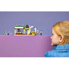 TOYHOUSE FRIENDS Creative Flower Shop