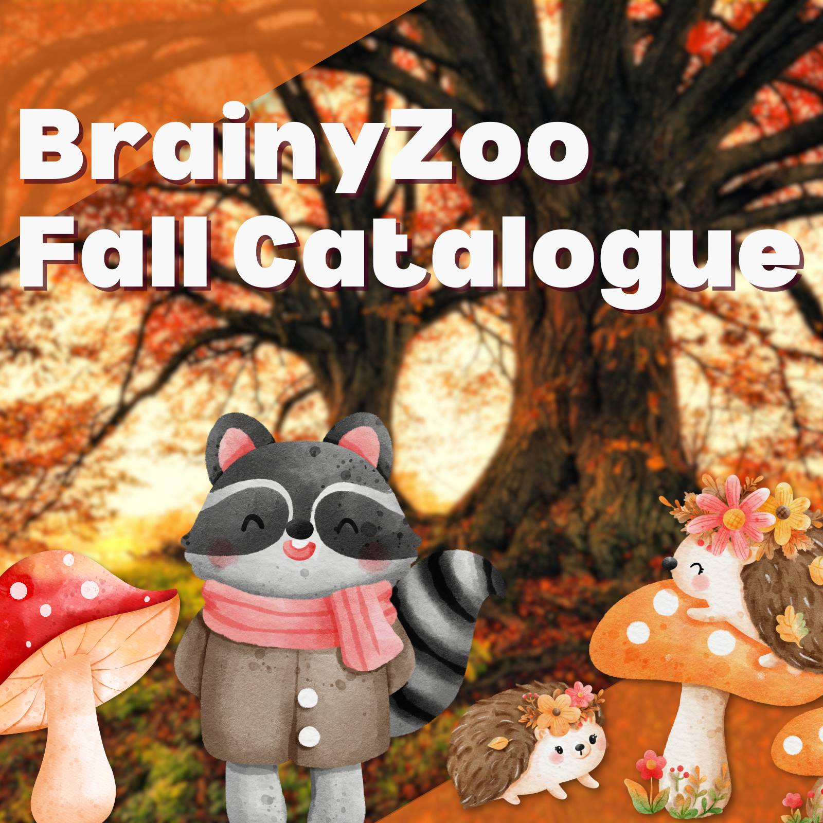 Folsom Toy Store Educational Toys STEAM Supplies Sacramento