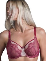 Fit Fully Yours Lingerie FFY Ava See-Thru Lace