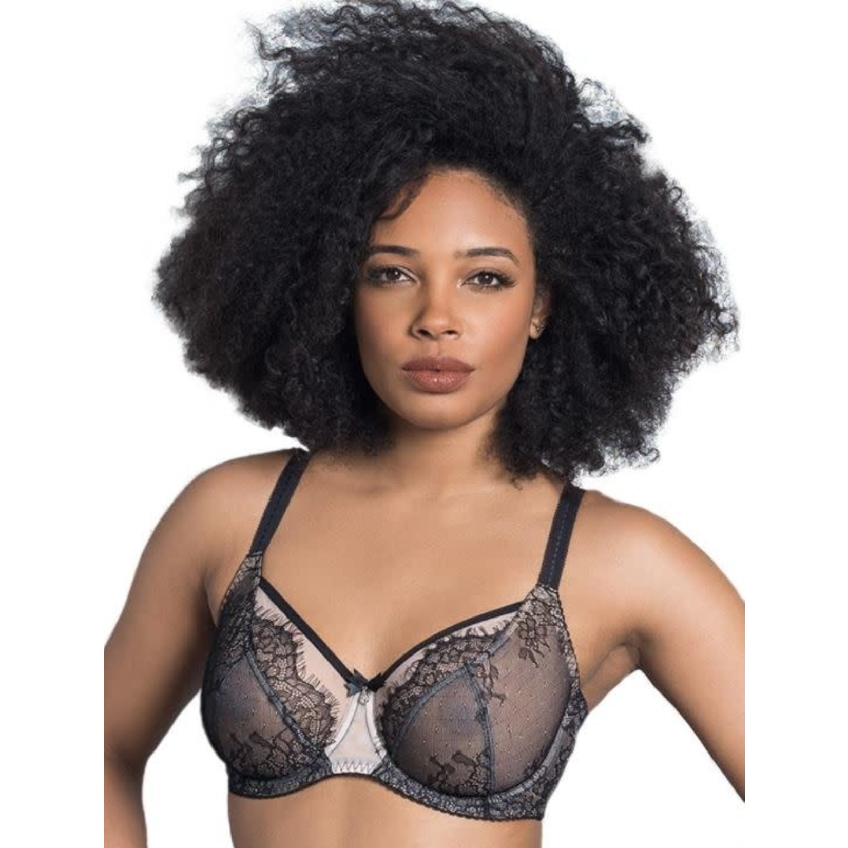 Fit Fully Yours Lingerie FFY Ava See-Thru Lace