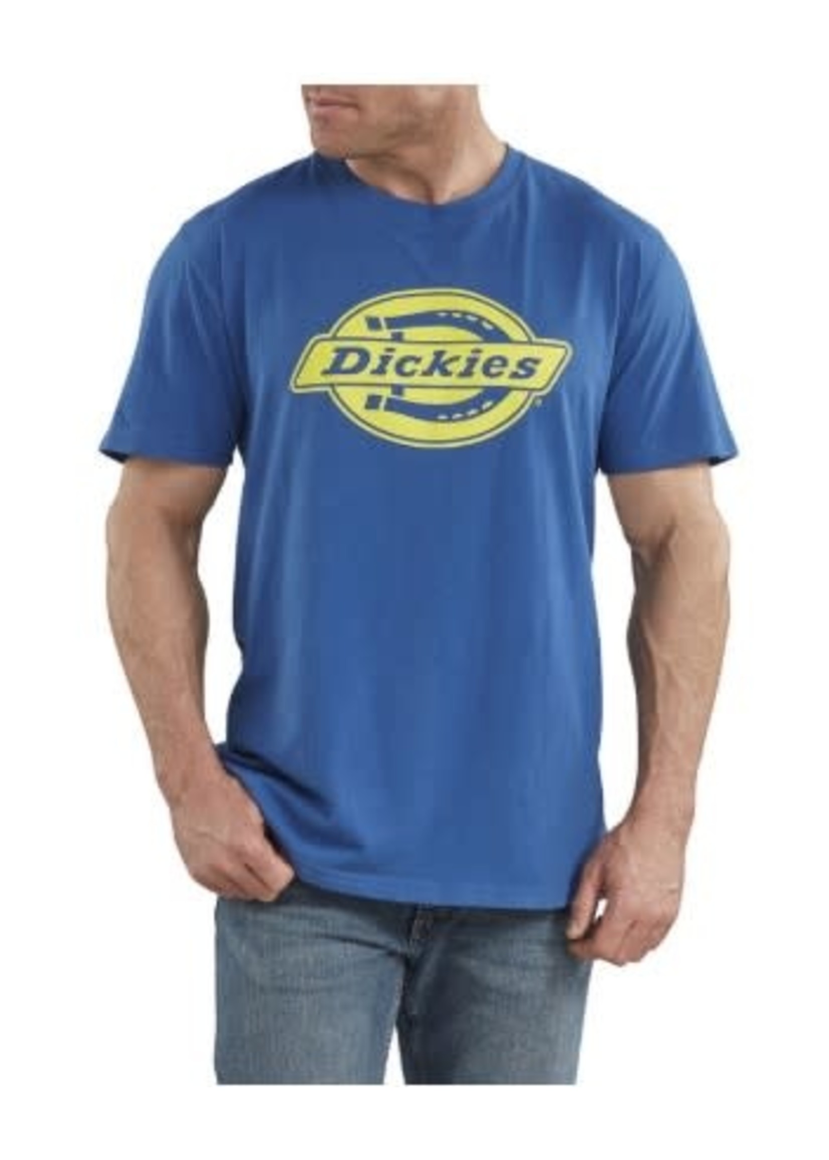 Dickies Dickies Men Graphic Tee SS