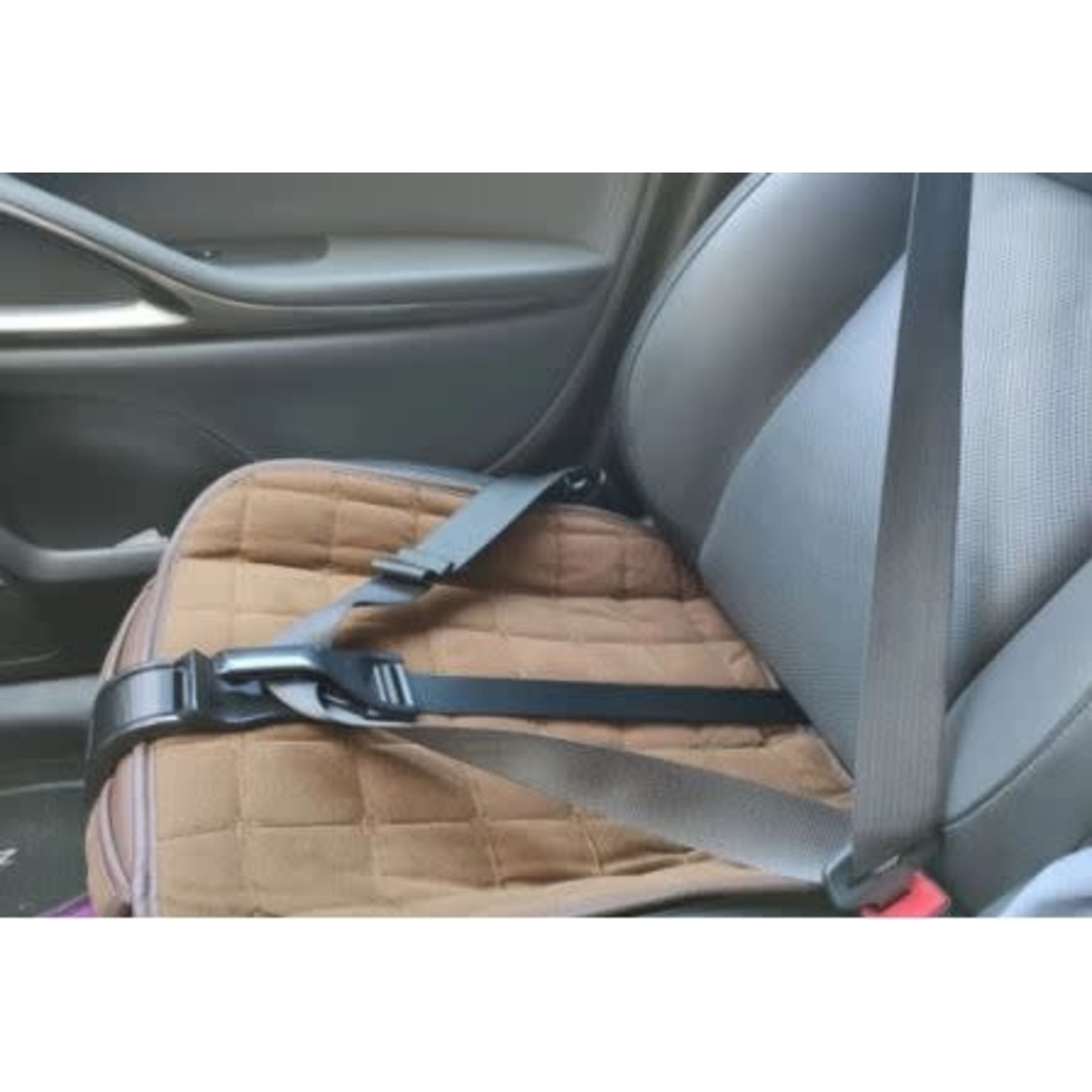 Pregnancy Seat Belt Adjuster