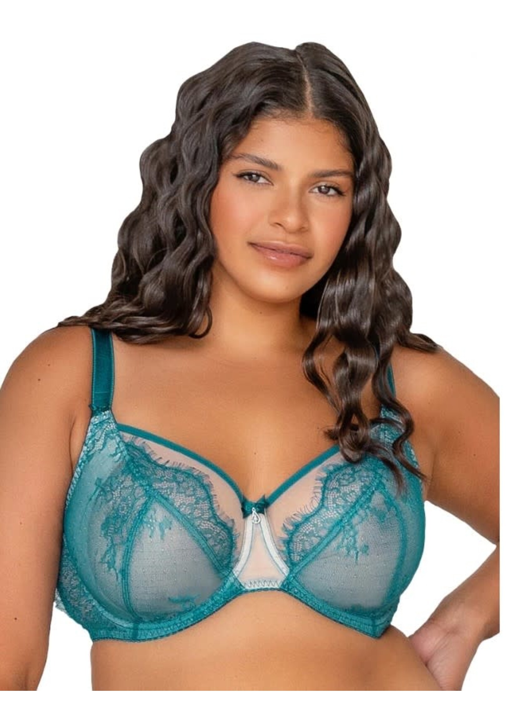 Underwire See-Through Bra with Contrasting Edges