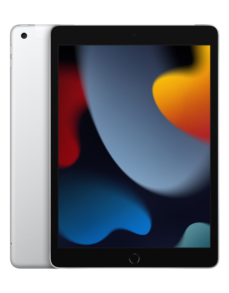 iPad 9th gen Wi-Fi + Cellular 256GB - Silver 10.2