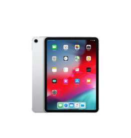 iPad Pro 11" (1st Gen) 1TB Cellular Silver - Ex Demo