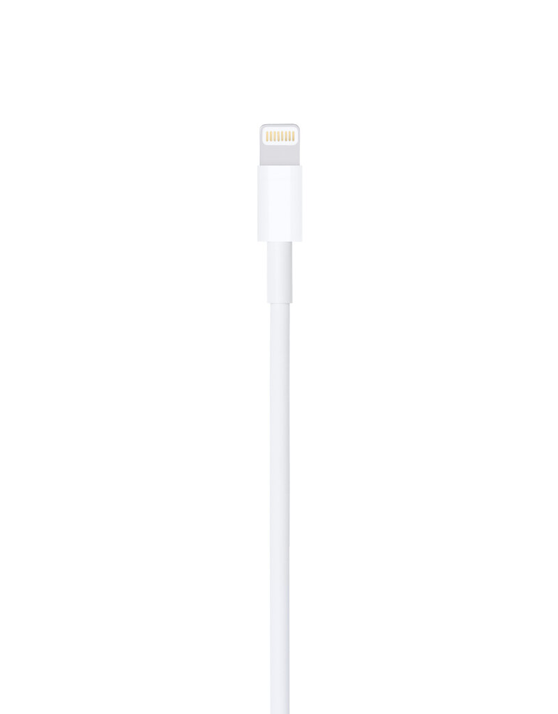 Apple Lightning to USB Cable (0.5m)