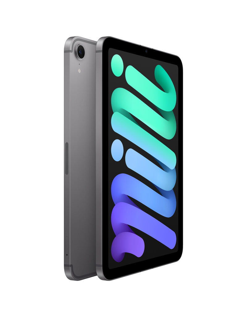 iPad mini 7th Gen 128GB Wifi + Cellular - Space Grey