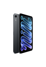 iPad mini A20 Pro (8th Gen) Wi-Fi + Cellular 256GB with standard glass - Midnight