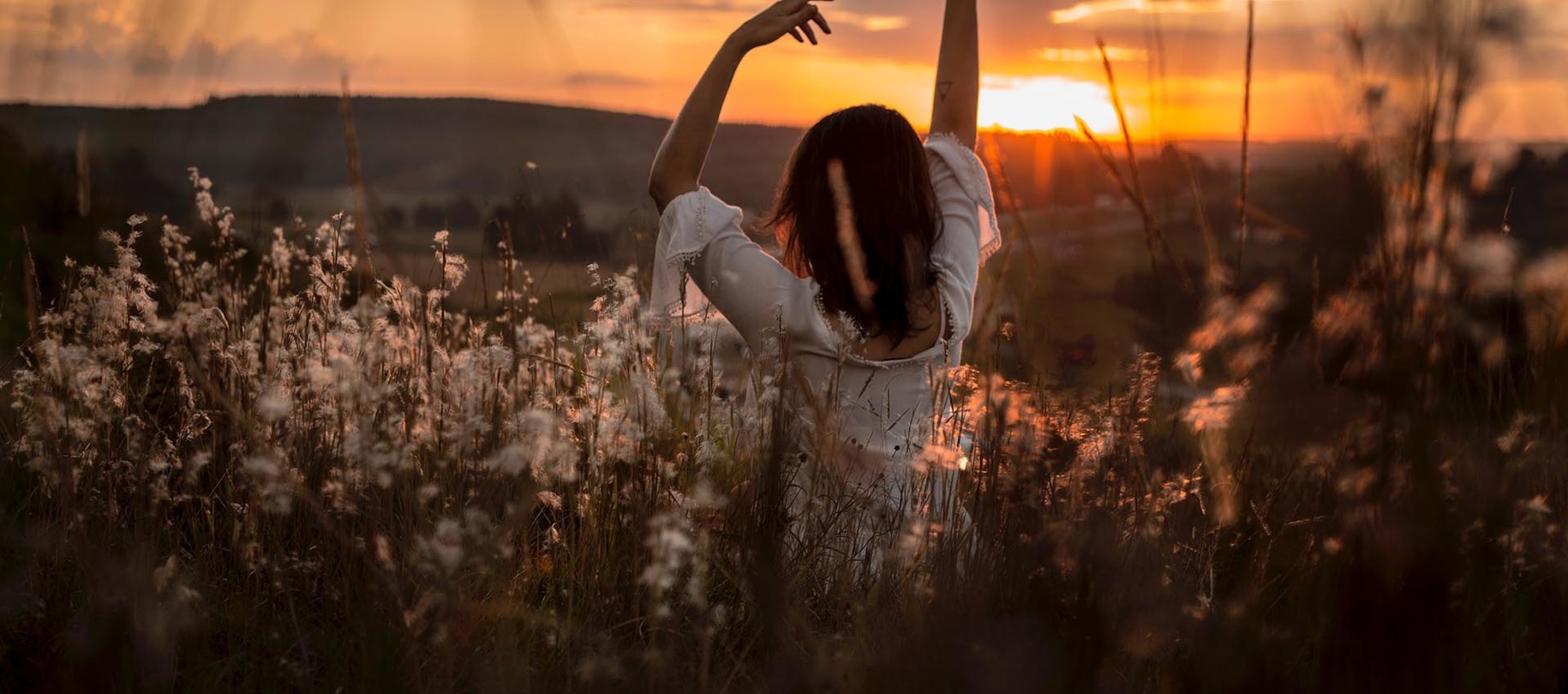 flatbelly Supplements