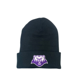 Polars Black Beanie
