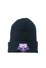 Polars Black Beanie