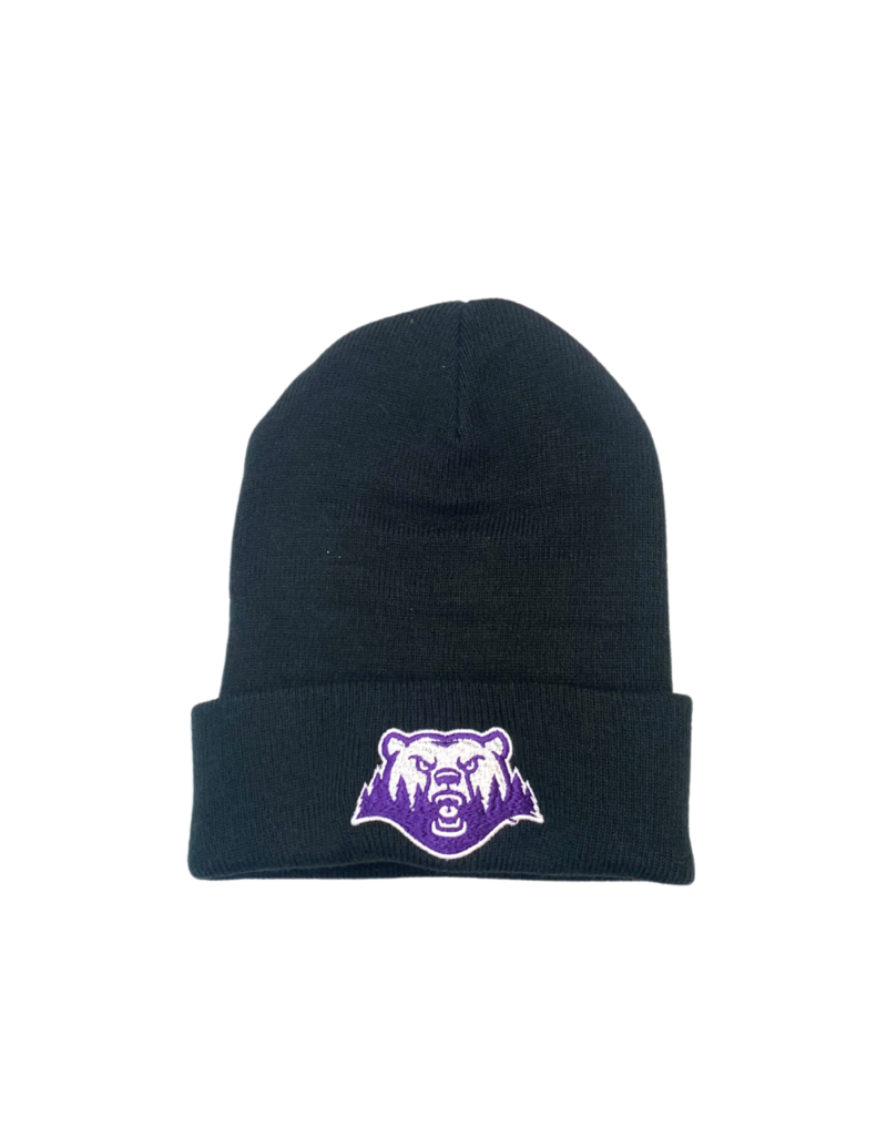 Polars Black Beanie