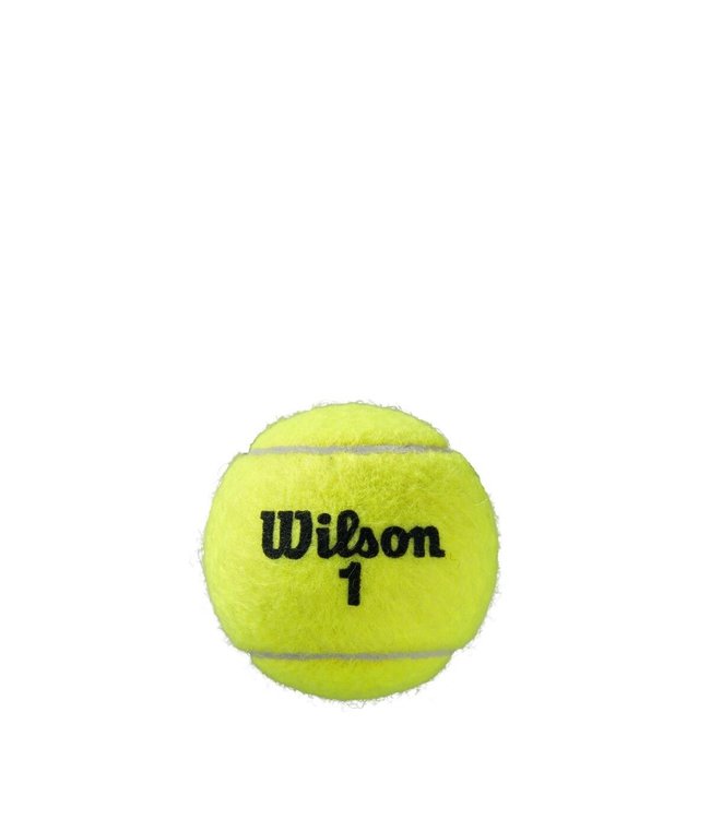 Wilson Roland Garros Clay Court Tennis Ball - 3 Can