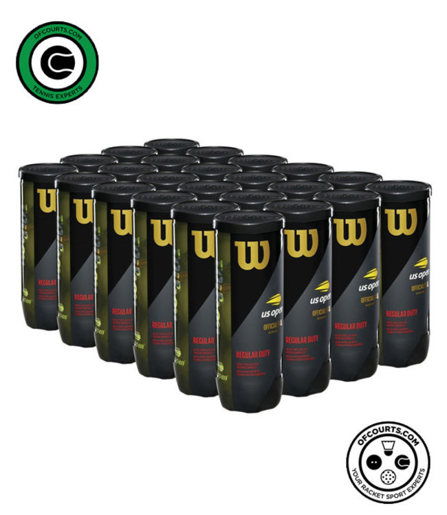 Wilson US Open Regular Duty - 24 Can Case