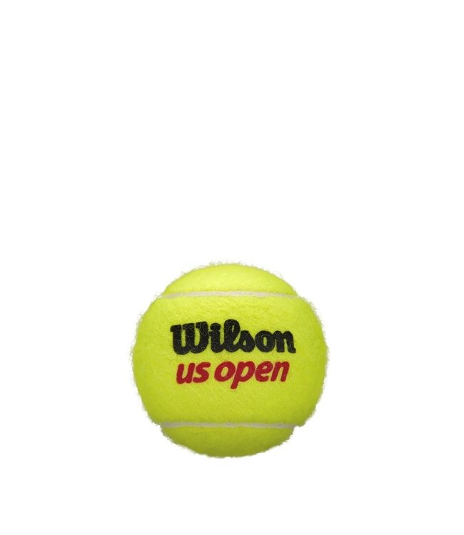 Wilson US Open Regular Duty - 24 Can Case