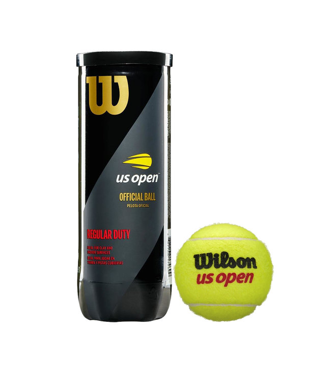 Wilson US Open Regular Duty - 24 Can Case