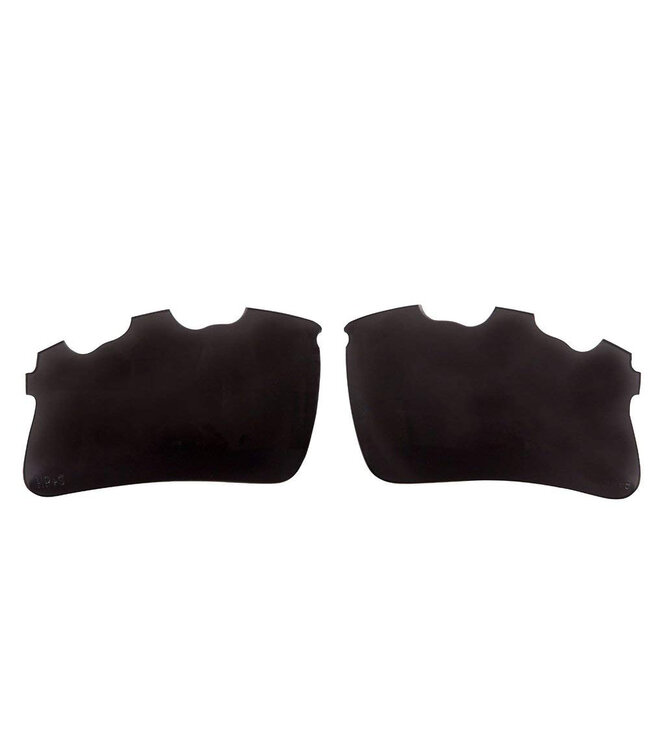 Head Raptor Eyeguard