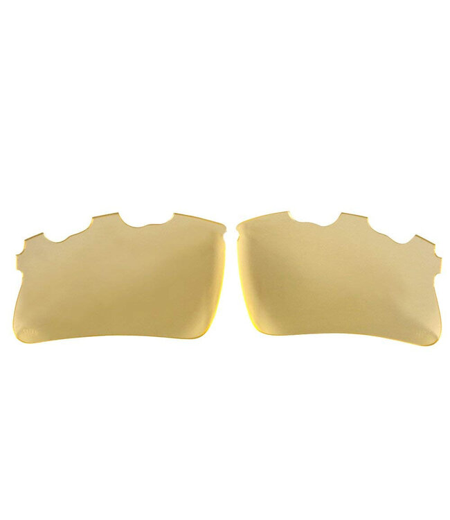 Head Raptor Eyeguard