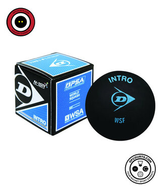 Dunlop Intro Blue Dot Squash Ball