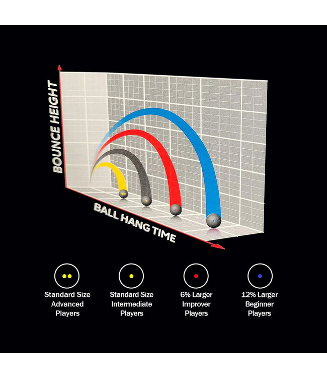 Dunlop Intro Blue Dot Squash Ball