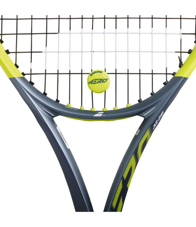 Babolat Aero Damp x2