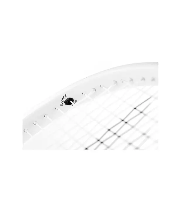 Tecnifibre T-Fight 300 - 2025