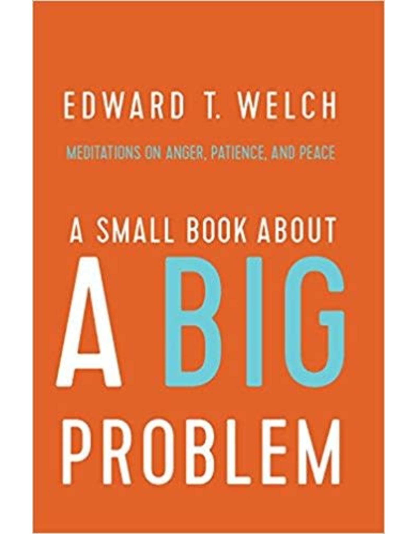 Welch A Small Book About A Big Problem