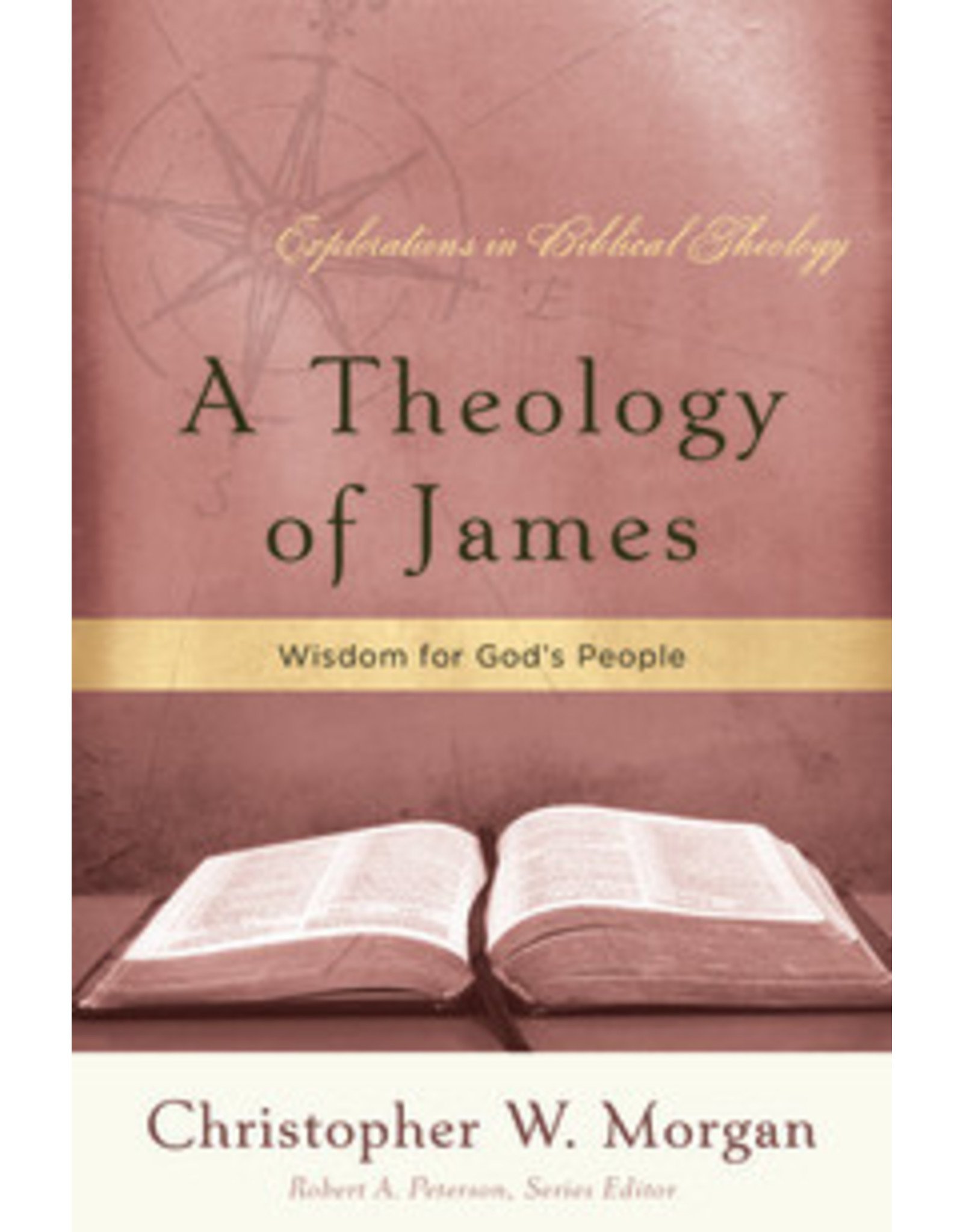 Morgan A Theology of James, Explorations in Biblical Theology
