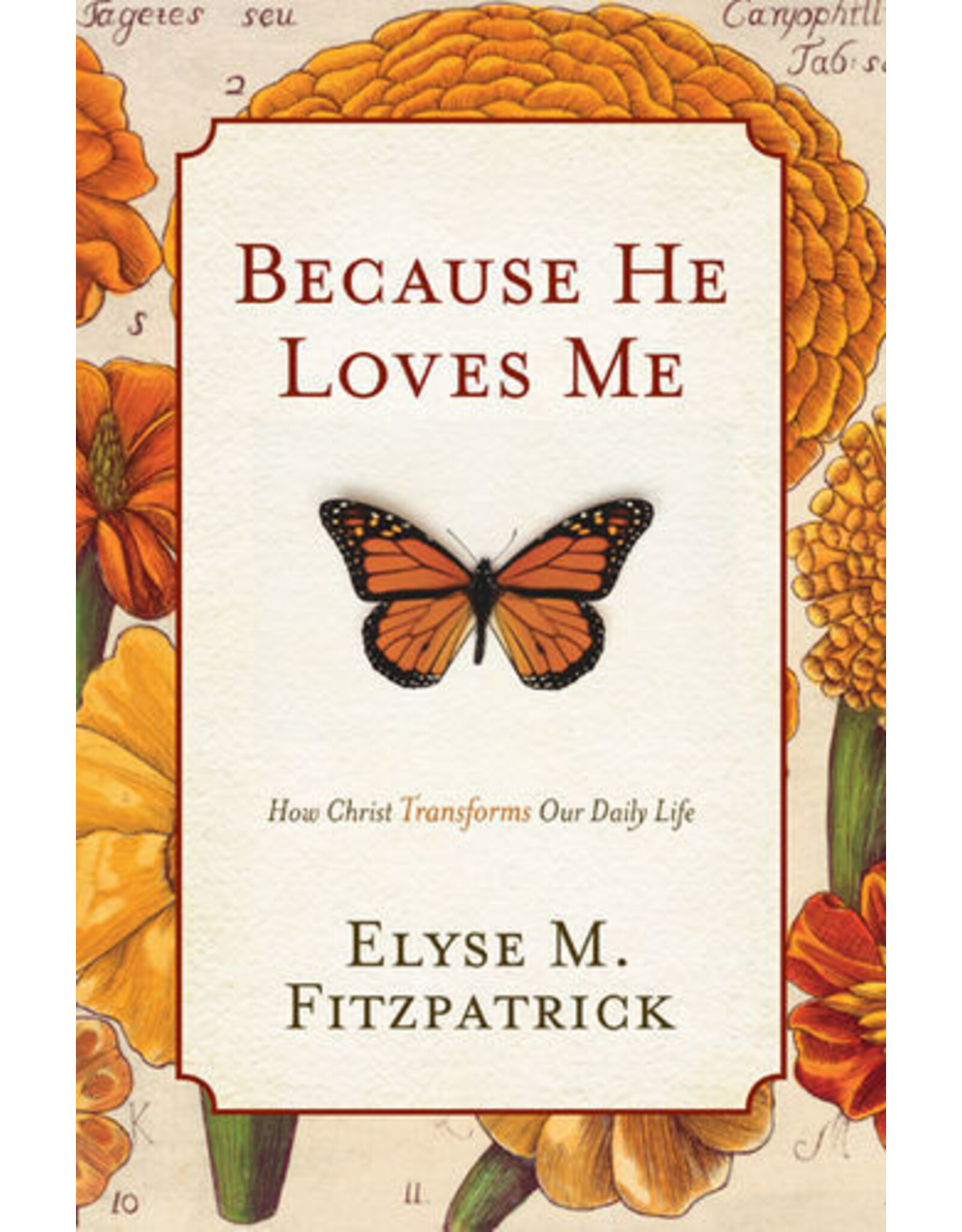 Elyse Fitzpatrick Because He Loves Me: How Christ Transforms Our Daily Life