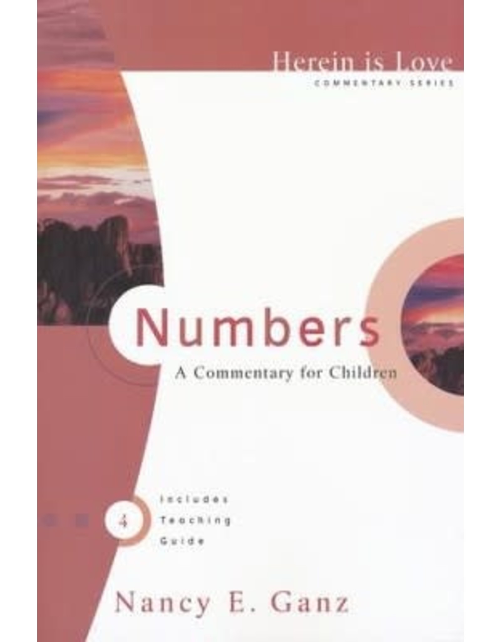 Nancy E Ganz Numbers A Commentary for Children