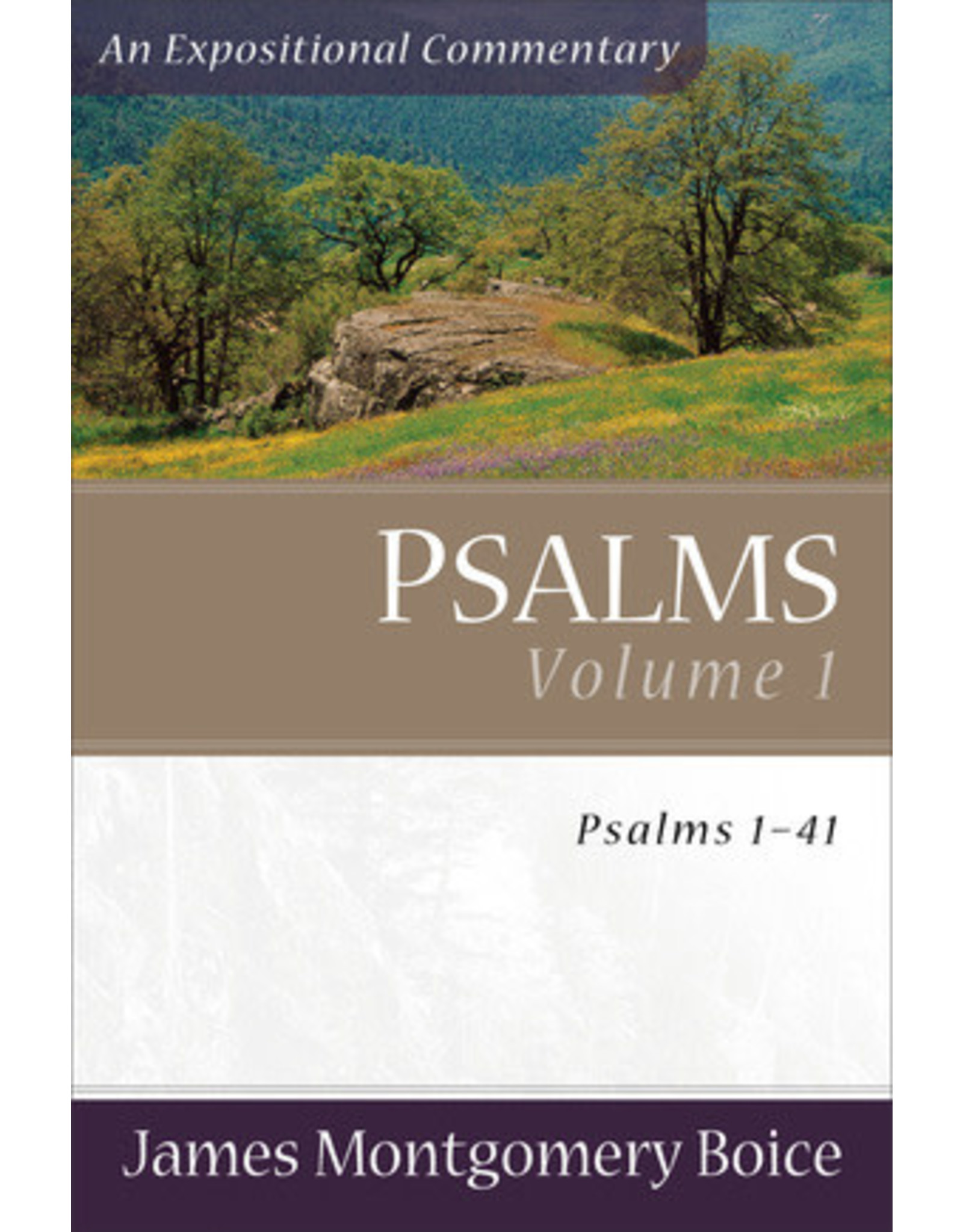James Montgomery Boice Psalms 1-41: An Expositional Commentary