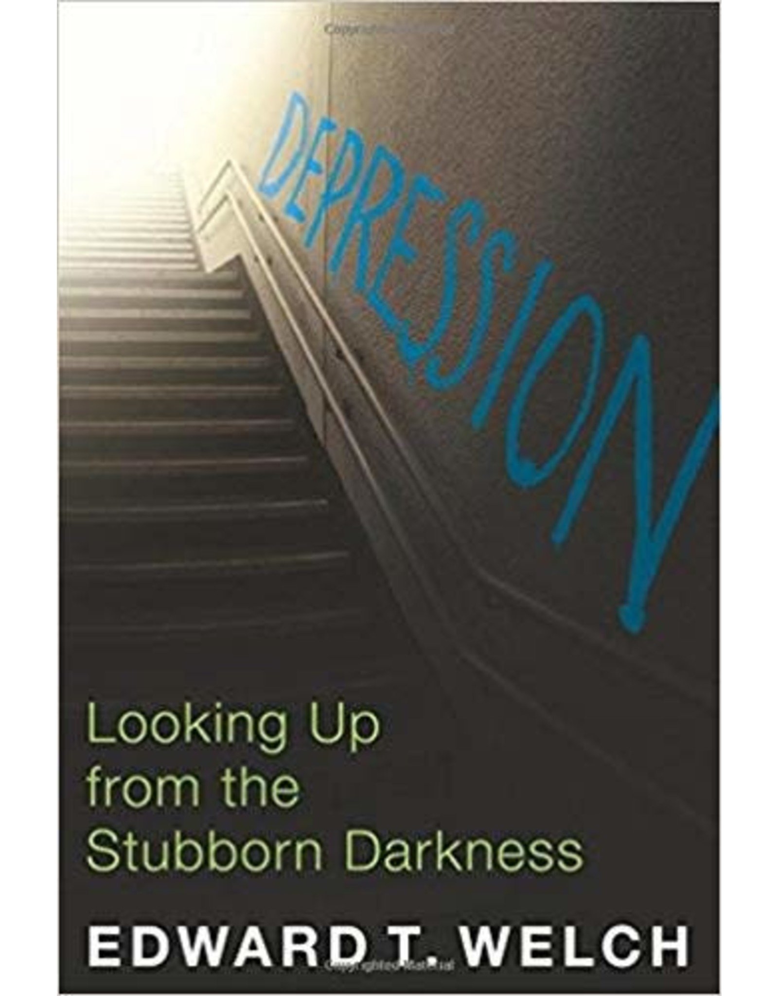 Depression:Looking Up from The Stubborn Darkness