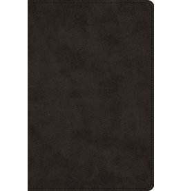 Crossway ESV Large Print Trutone Black