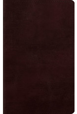 Crossway ESV Large Print Personal Size - Mahogany