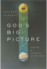 Vaughan Roberts God's Big Picture