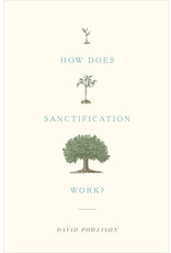 David Powlison How Does Sanctification Work?